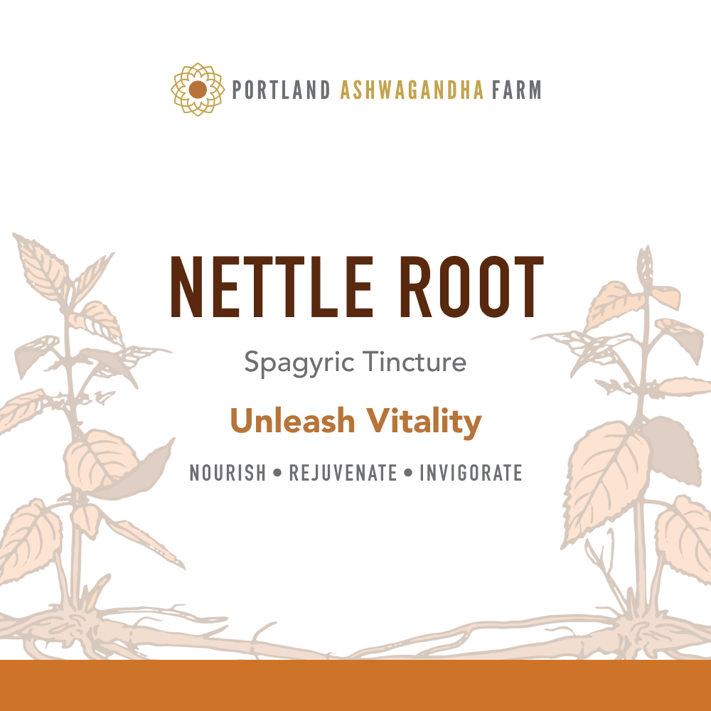 Nettle Root - Spagyric Tincture
