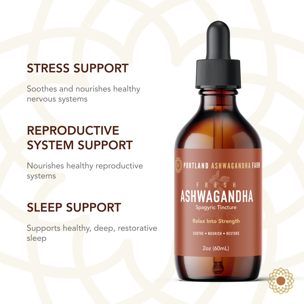 Ashwagandha - Organic Fresh Spagyric Tincture Liquid Extract