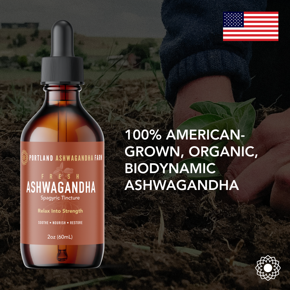 Ashwagandha - Organic Fresh Spagyric Tincture Liquid Extract