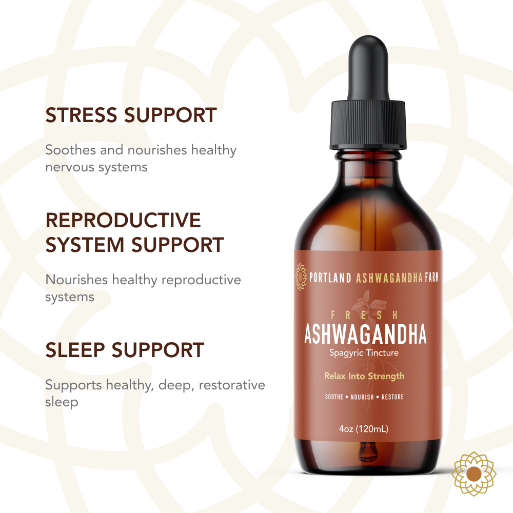 Ashwagandha - Organic Fresh Spagyric Tincture Liquid Extract