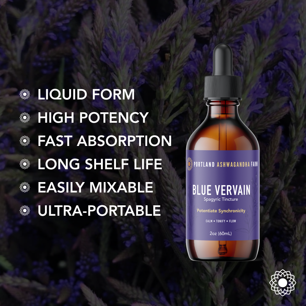 Blue Vervain - Fresh Spagyric Tincture