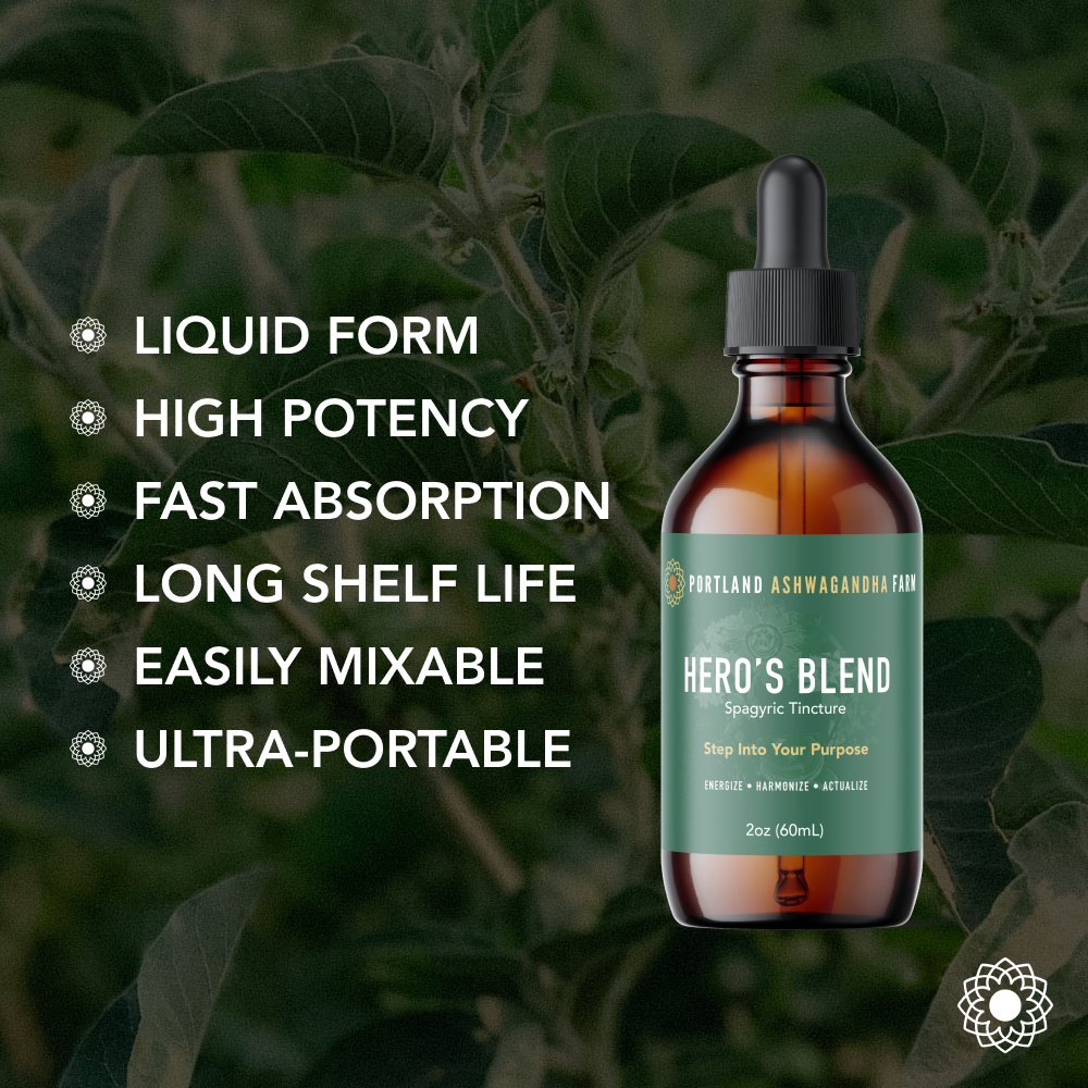 Hero's Blend™ - Spagyric Tincture