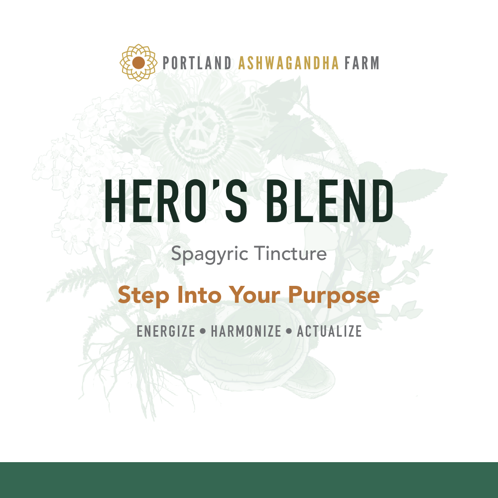 Hero's Blend™ - Spagyric Tincture