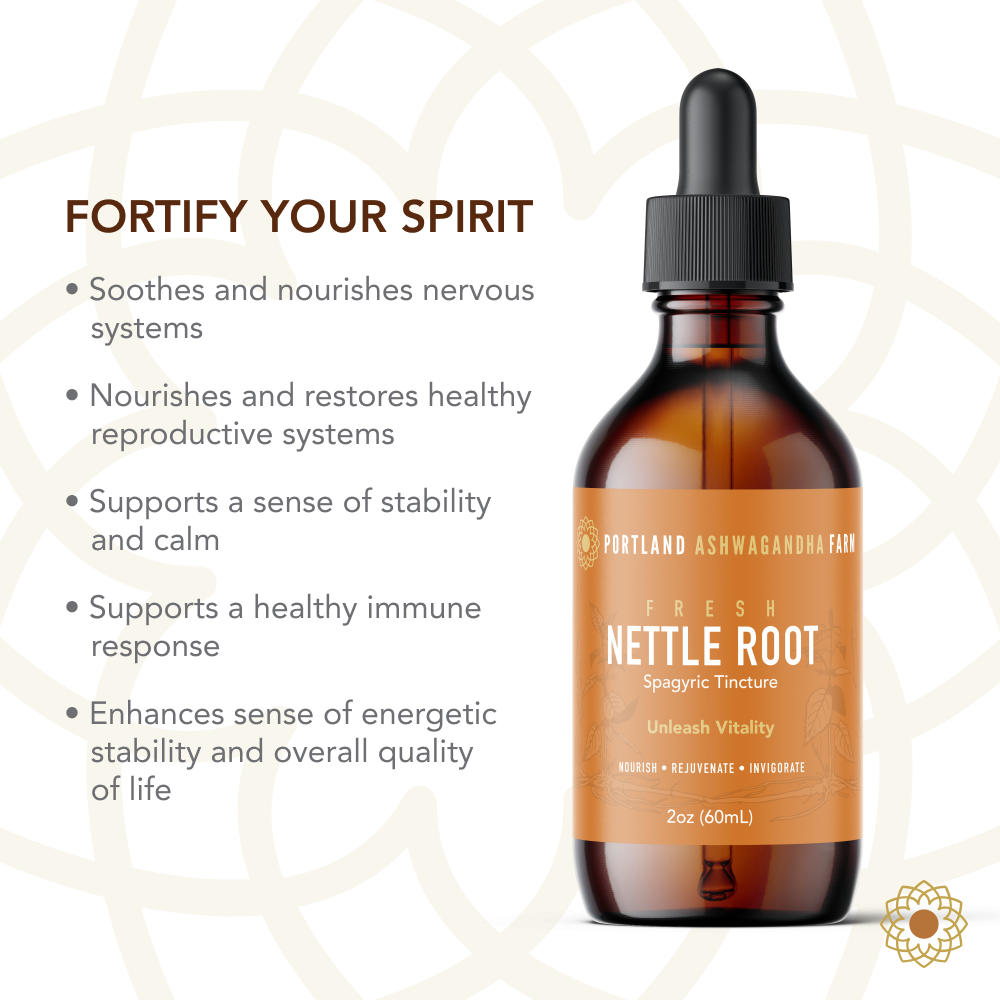 Nettle Root - Spagyric Tincture
