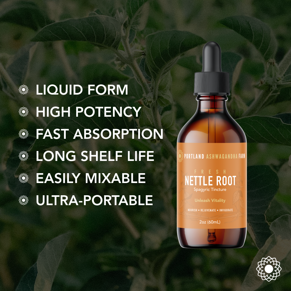 Nettle Root - Spagyric Tincture