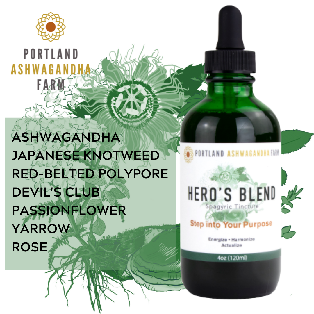 Hero’s Blend: A Tincture for These Times