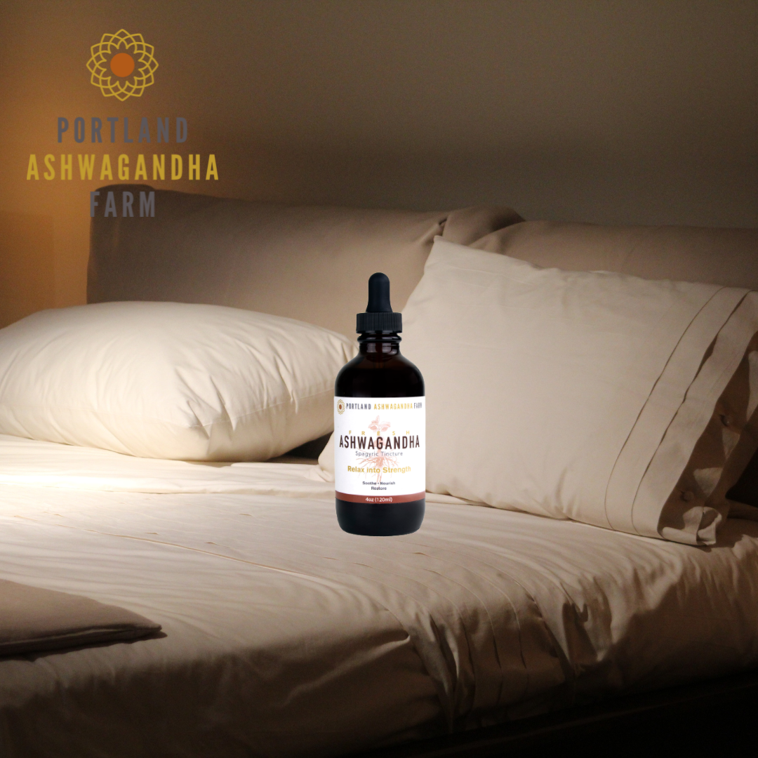 How Are You Sleeping? Ashwagandha and Brain Cleaning