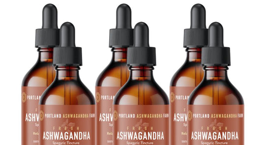 The Top 3 Reasons Our Customers Use Ashwagandha Daily