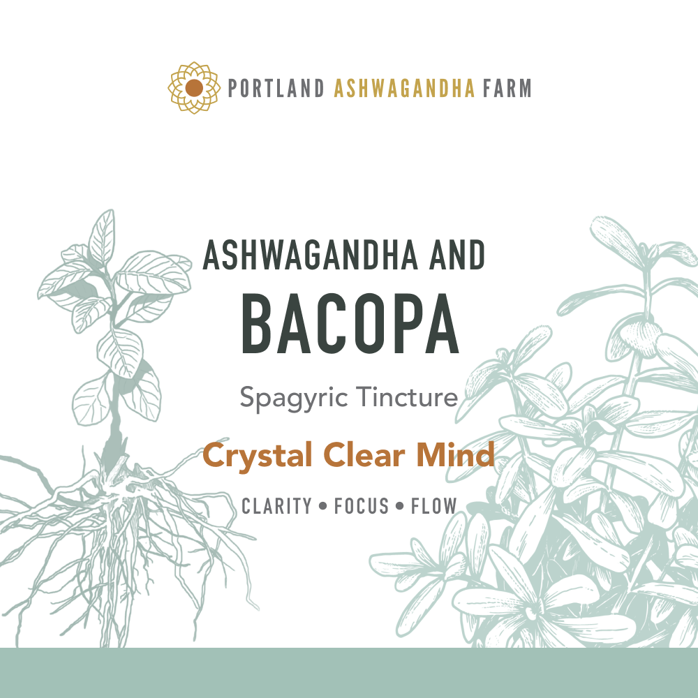 Ashwagandha Bacopa - Spagyric Tincture