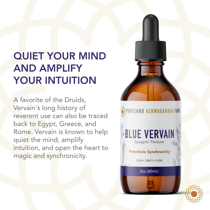 Blue Vervain - Fresh Spagyric Tincture