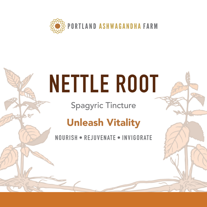 Nettle Root - Spagyric Tincture