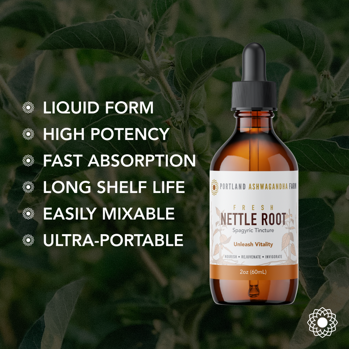Nettle Root - Spagyric Tincture