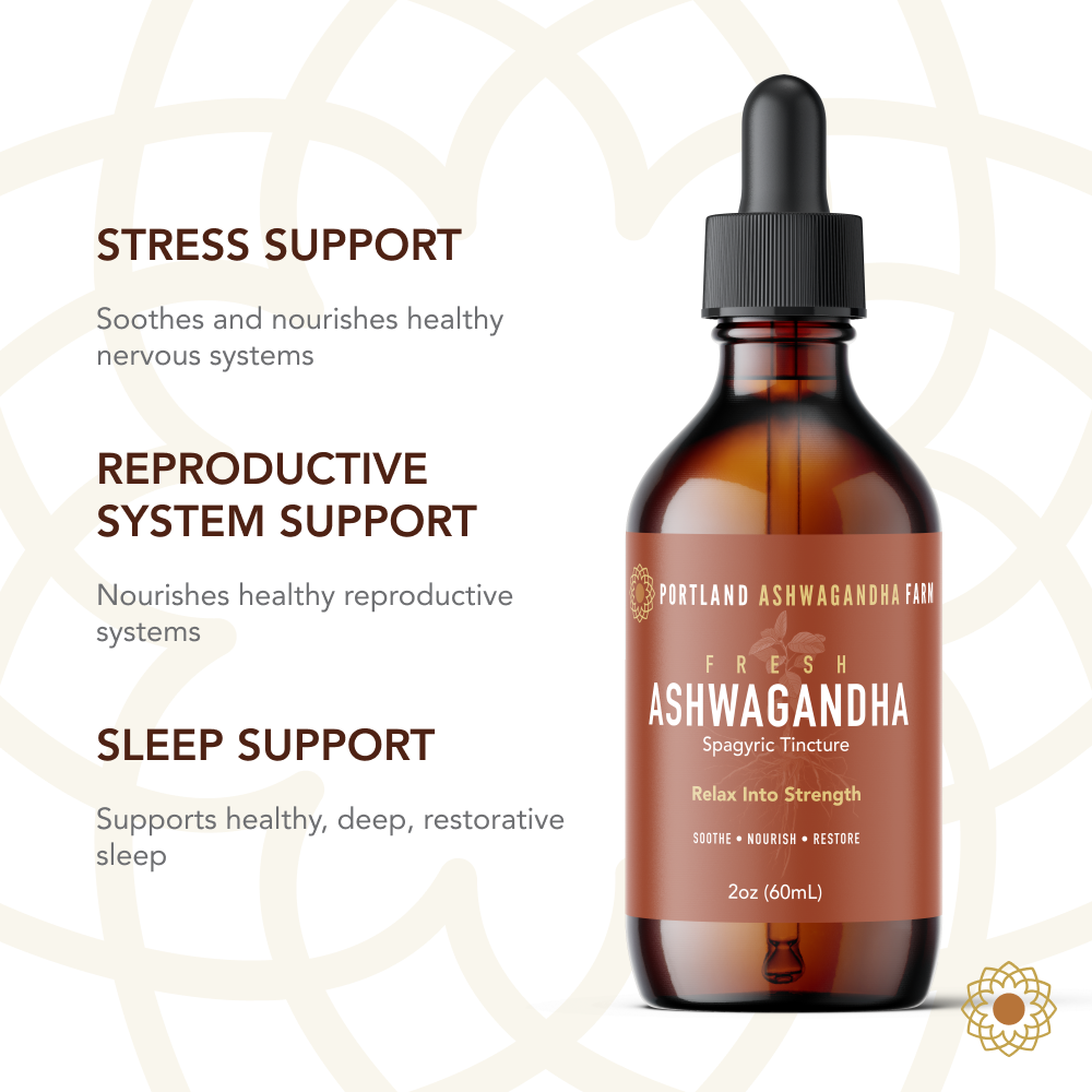 Ashwagandha Fresh Spagyric Tincture – Pacific Northwest Grown