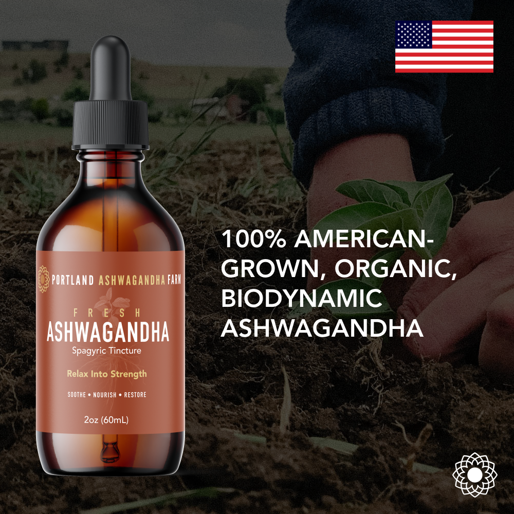 Ashwagandha Fresh Spagyric Tincture – Pacific Northwest Grown