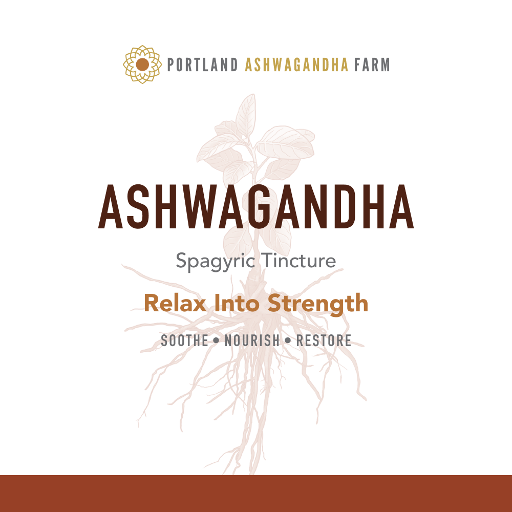 Ashwagandha Fresh Spagyric Tincture – Pacific Northwest Grown