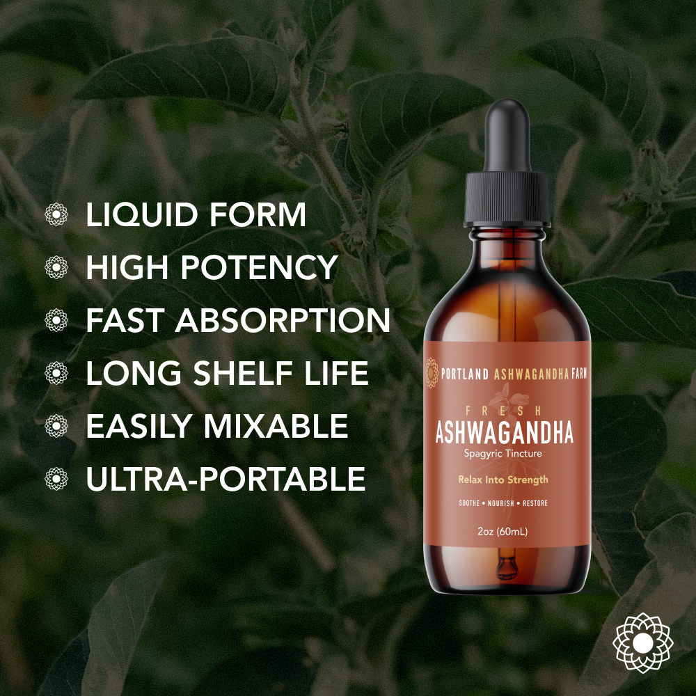 Ashwagandha Fresh Spagyric Tincture – Pacific Northwest Grown