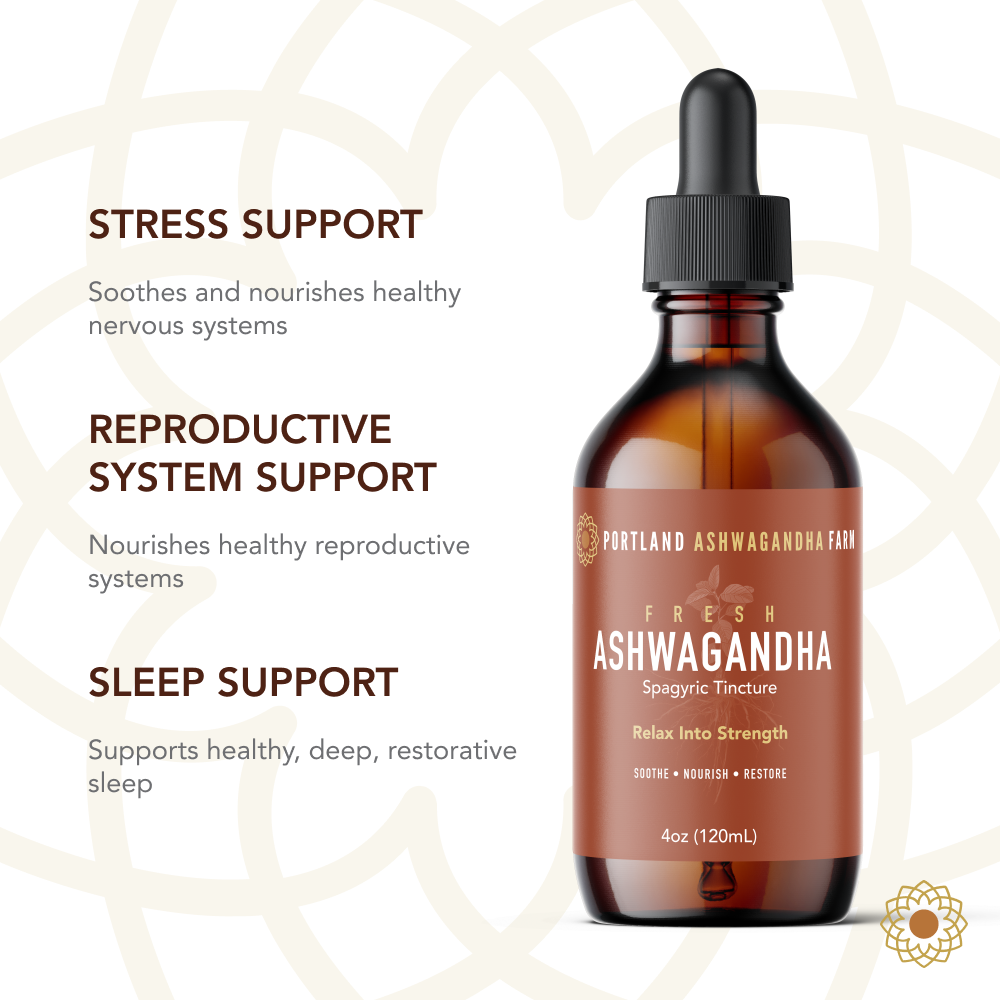 Ashwagandha Fresh Spagyric Tincture – Pacific Northwest Grown
