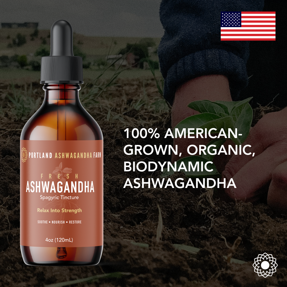 Ashwagandha Fresh Spagyric Tincture – Pacific Northwest Grown