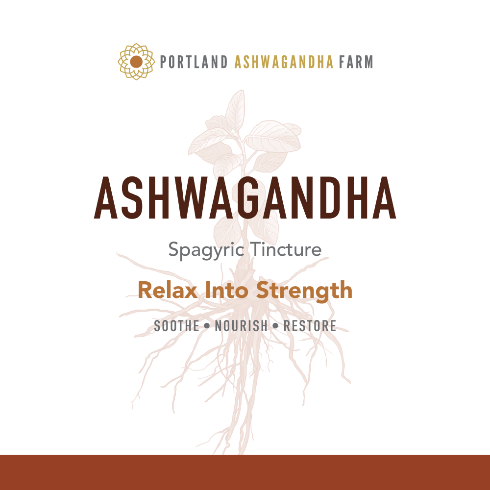Ashwagandha - Fresh Spagyric Tincture