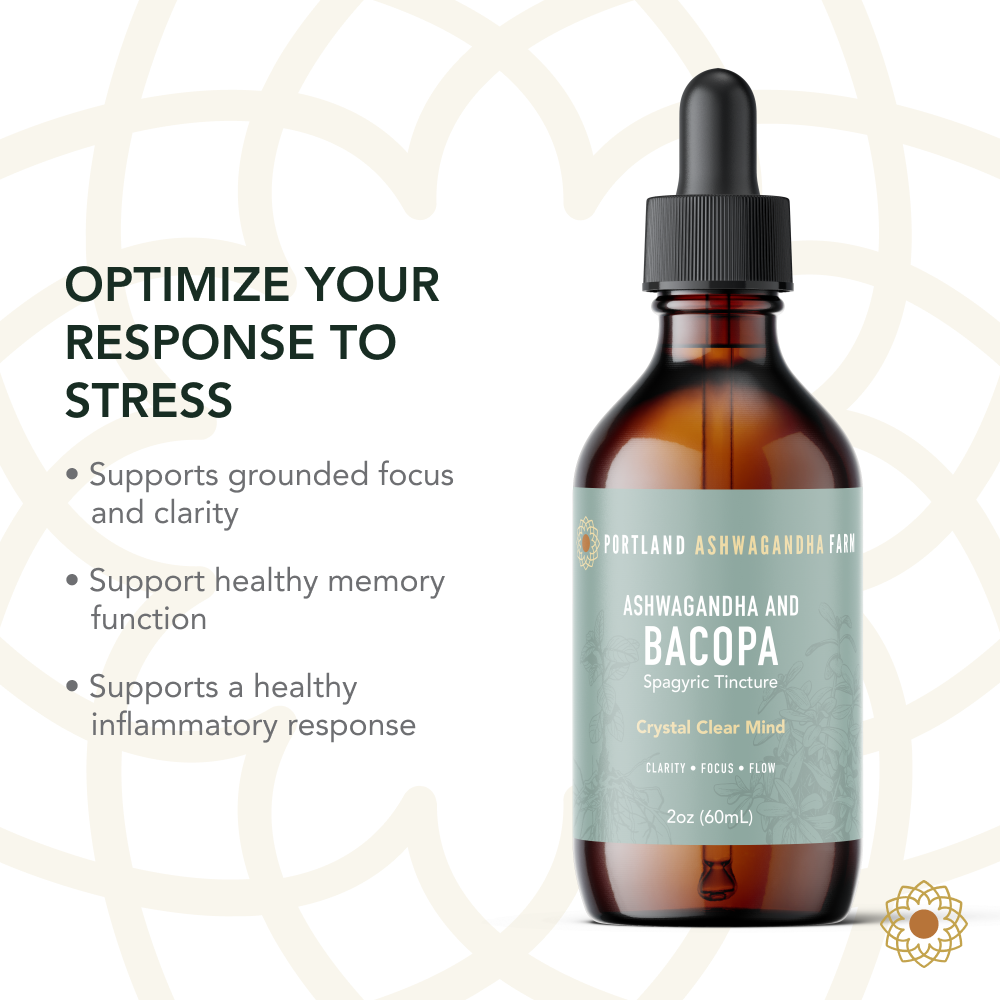 Ashwagandha Bacopa - Spagyric Tincture