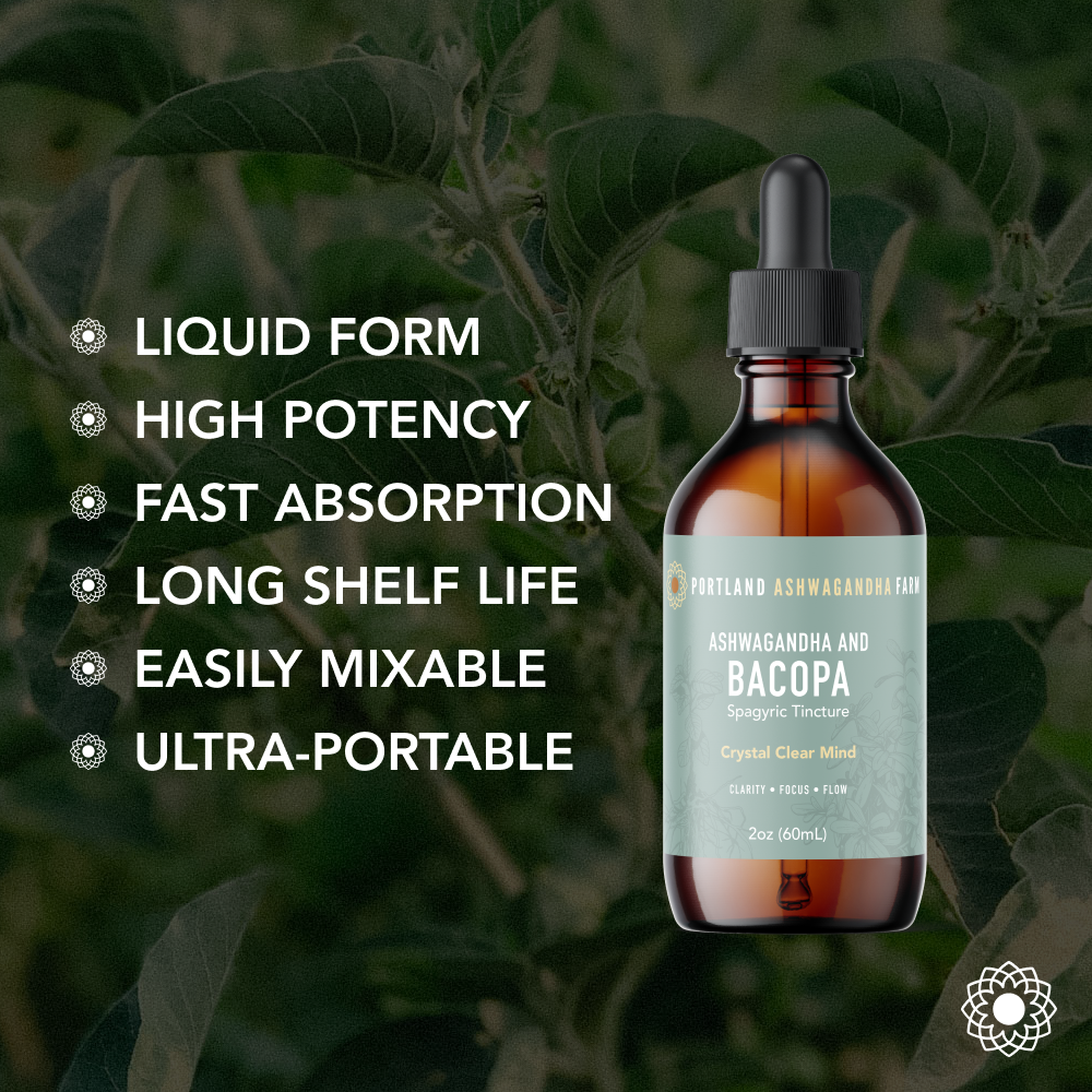 Ashwagandha Bacopa - Spagyric Tincture