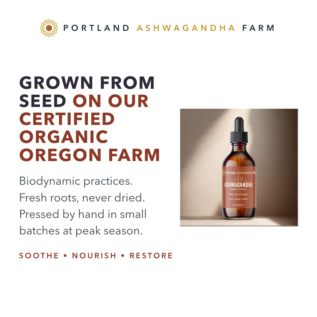 Grown from seed on our certified organic Oregon farm — biodynamic practices, fresh roots, small batches