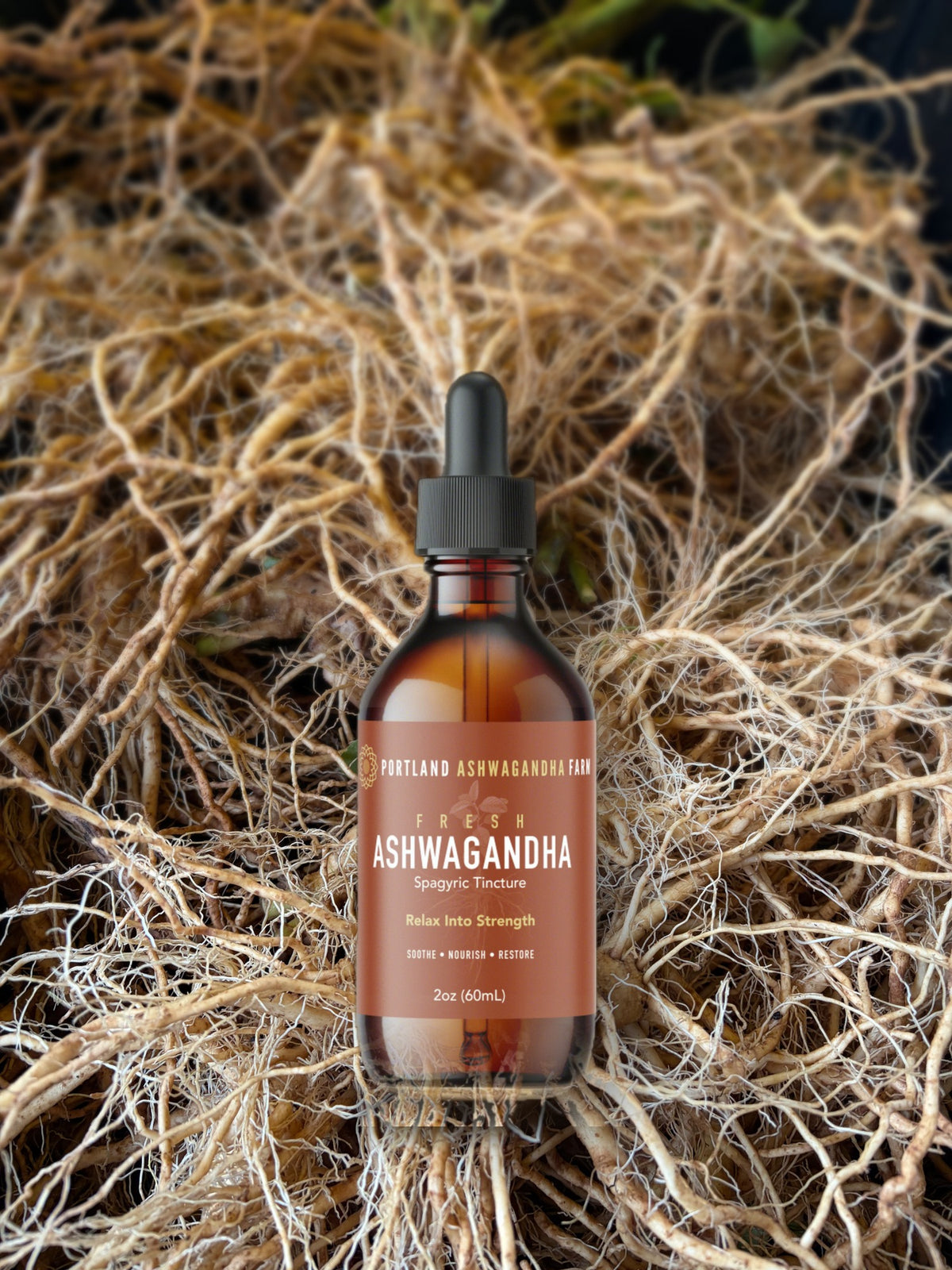 Fresh Ashwagandha spagyric tincture resting in a pile of freshly washed ashwagandha roots, Portland Ashwagandha Farm, October 2026