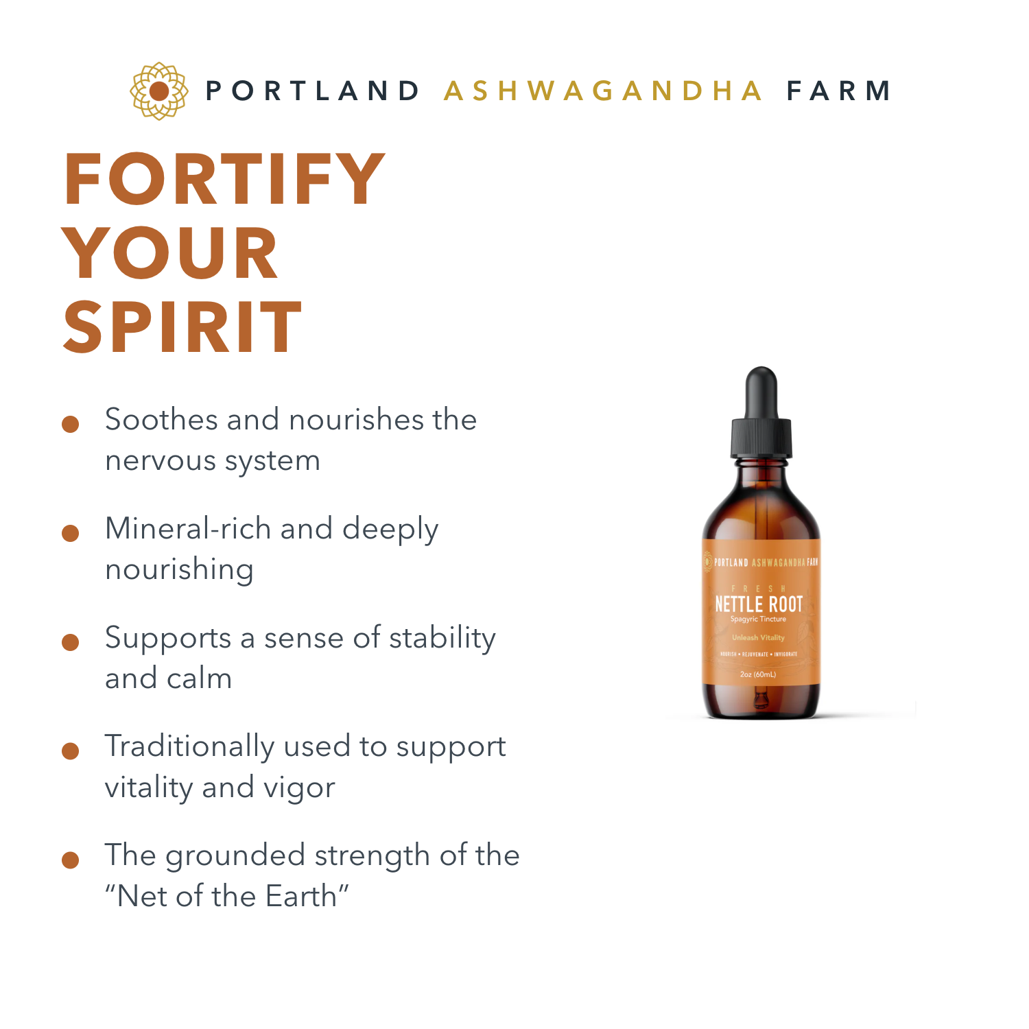 Fortify your spirit — Nettle Root, mineral-rich and deeply nourishing