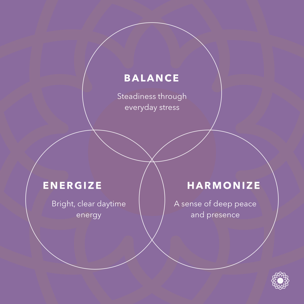 Tulsi: Balance, Energize, Harmonize