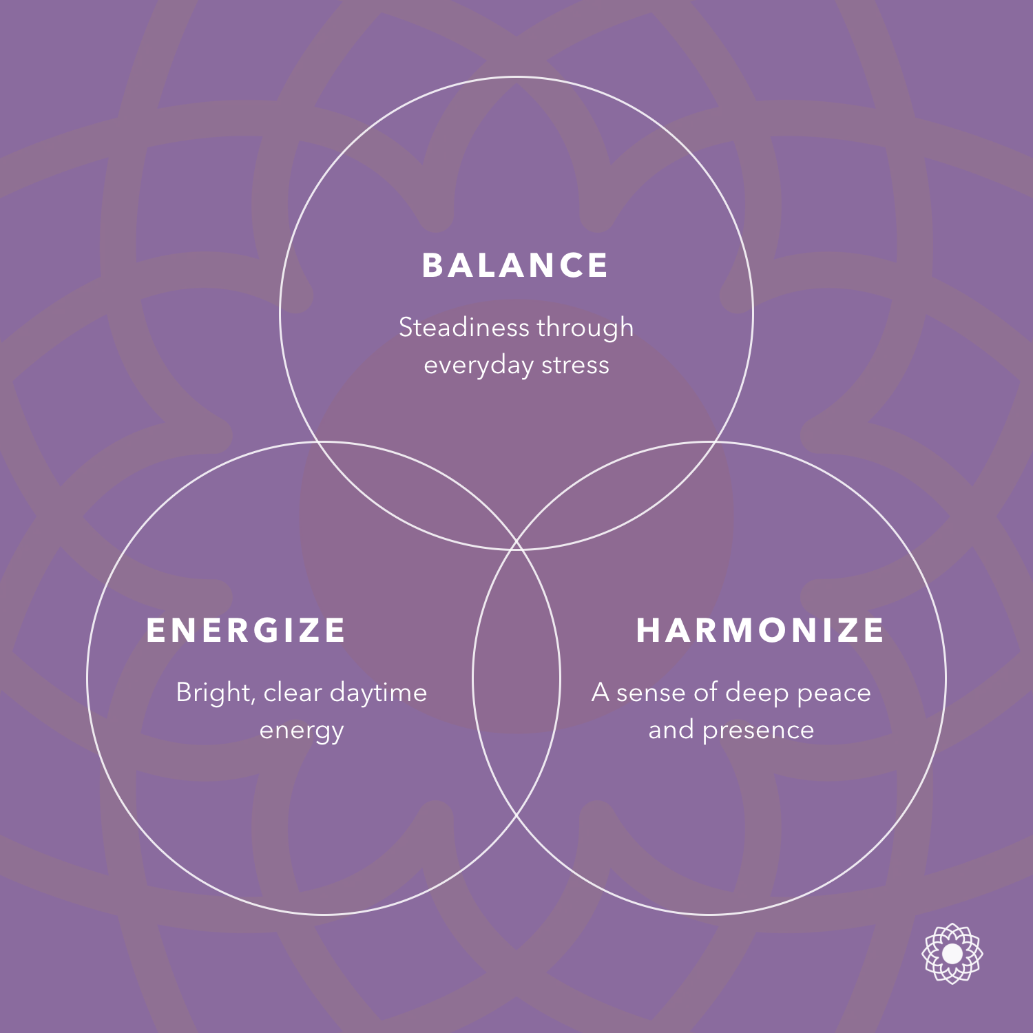 Tulsi: Balance, Energize, Harmonize