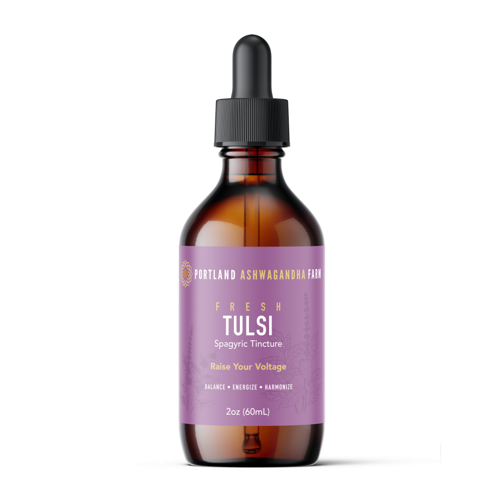 Tulsi - Spagyric Tincture