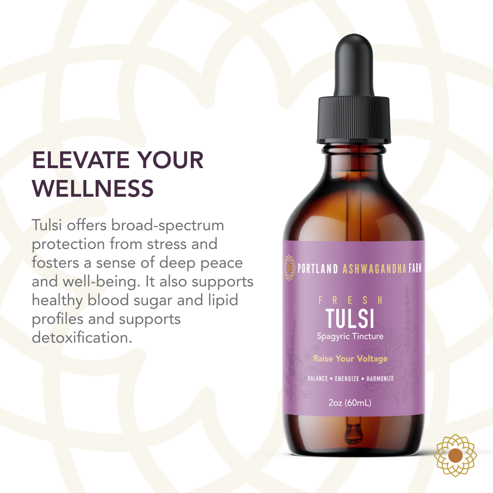 Tulsi - Spagyric Tincture